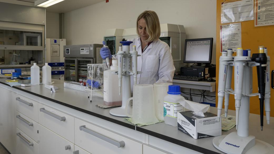 Qualitätskontrolle Wiesentheid