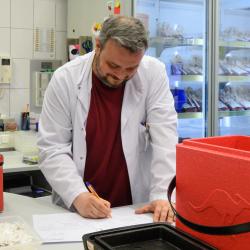 Work-In Herstellung Vertrieb